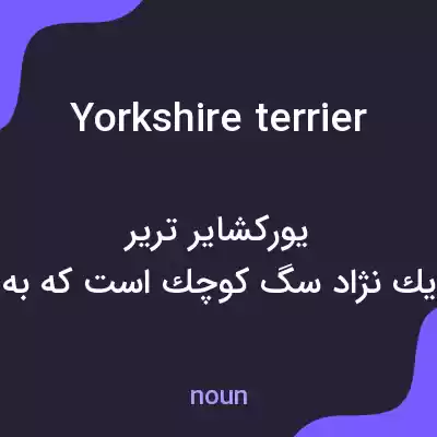 معنی yorkshire terrier به فارسی معنی yorkshire terrier به فارسی