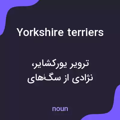 معنی yorkshire terriers به فارسی معنی yorkshire terriers به فارسی