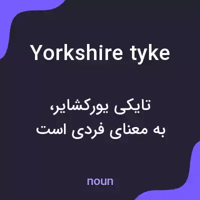 معنی yorkshire tyke به فارسی معنی yorkshire tyke به فارسی