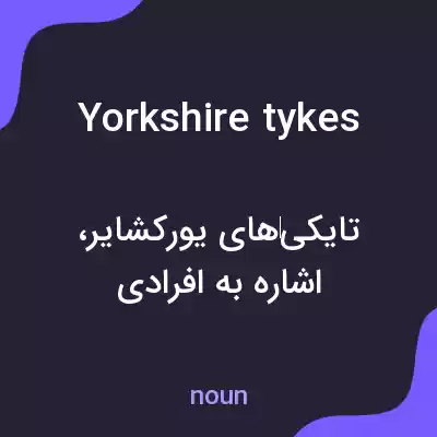 معنی yorkshire tykes به فارسی معنی yorkshire tykes به فارسی