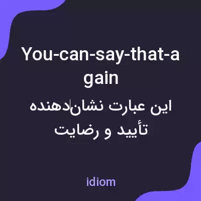 معنی you-can-say-that-again به فارسی معنی you-can-say-that-again به فارسی