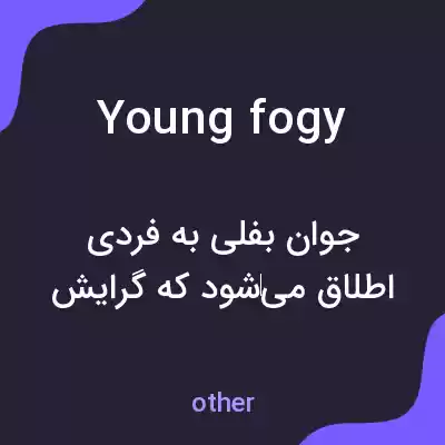 معنی young fogy به فارسی معنی young fogy به فارسی