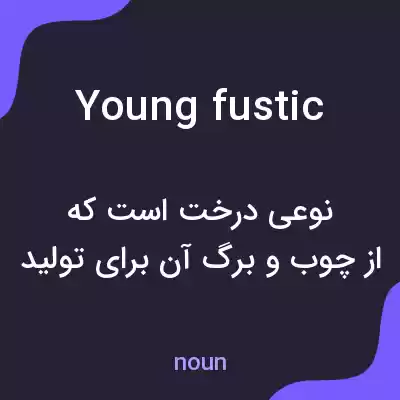 معنی young fustic به فارسی معنی young fustic به فارسی