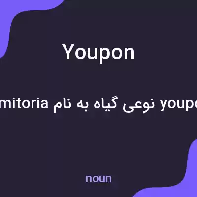 معنی youpon به فارسی معنی youpon به فارسی