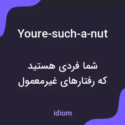 معنی youre-such-a-nut به فارسی