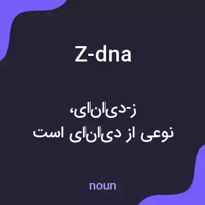 معنی z-dna به فارسی معنی z-dna به فارسی