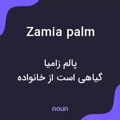 معنی zamia palm به فارسی معنی zamia palm به فارسی