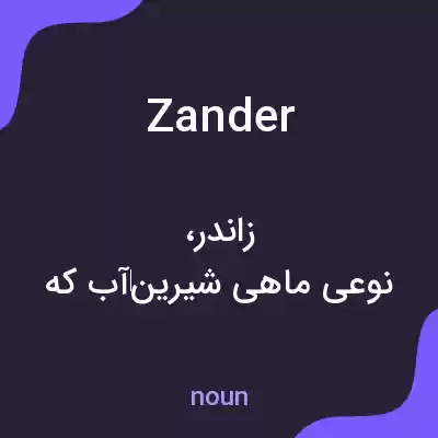 معنی zander به فارسی معنی zander به فارسی