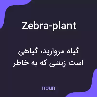 معنی zebra-plant به فارسی معنی zebra-plant به فارسی