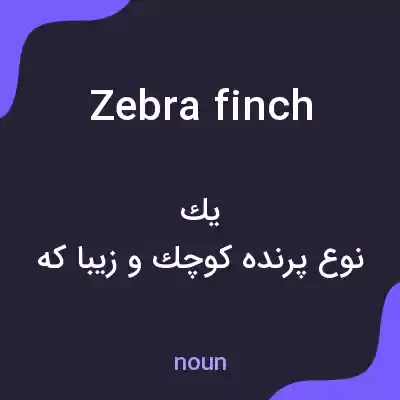 معنی zebra finch به فارسی معنی zebra finch به فارسی