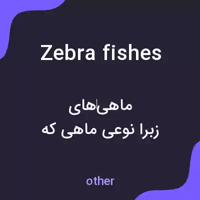 معنی zebra fishes به فارسی معنی zebra fishes به فارسی
