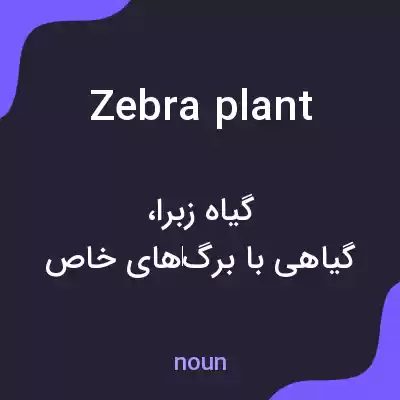 معنی zebra plant به فارسی معنی zebra plant به فارسی