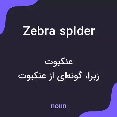 معنی zebra spider به فارسی