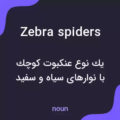 معنی zebra spiders به فارسی معنی zebra spiders به فارسی