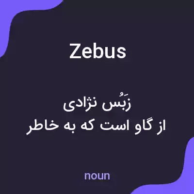 معنی zebus به فارسی معنی zebus به فارسی