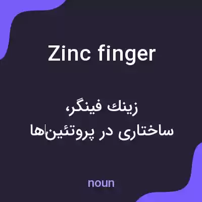 معنی zinc finger به فارسی معنی zinc finger به فارسی
