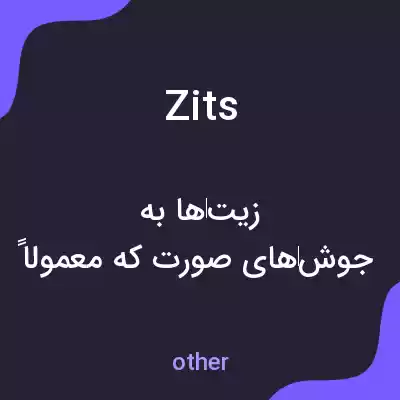 معنی zits به فارسی معنی zits به فارسی