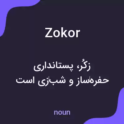 معنی zokor به فارسی معنی zokor به فارسی
