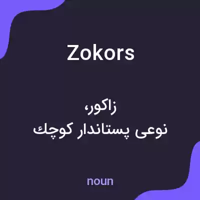 معنی zokors به فارسی معنی zokors به فارسی