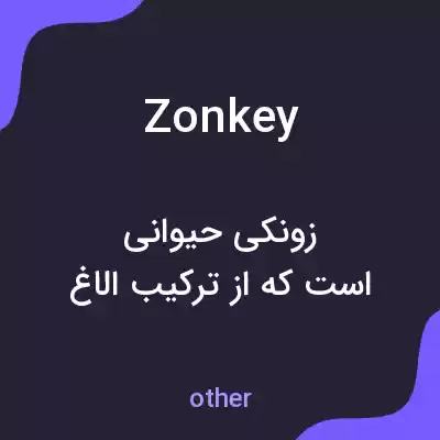 معنی zonkey به فارسی معنی zonkey به فارسی