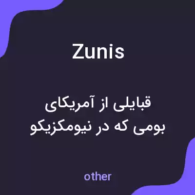 معنی zunis به فارسی