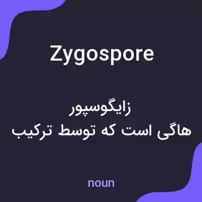معنی zygospore به فارسی معنی zygospore به فارسی