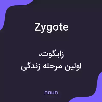معنی zygote به فارسی معنی zygote به فارسی
