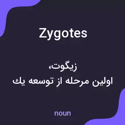 معنی zygotes به فارسی معنی zygotes به فارسی